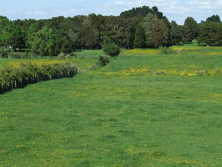 95 Hinau Gully Road Carterton_7