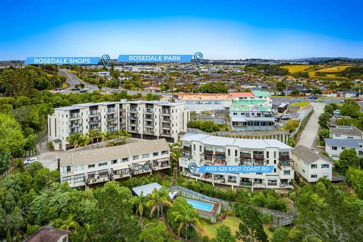 A103/525 East Coast Road Browns Bay_16