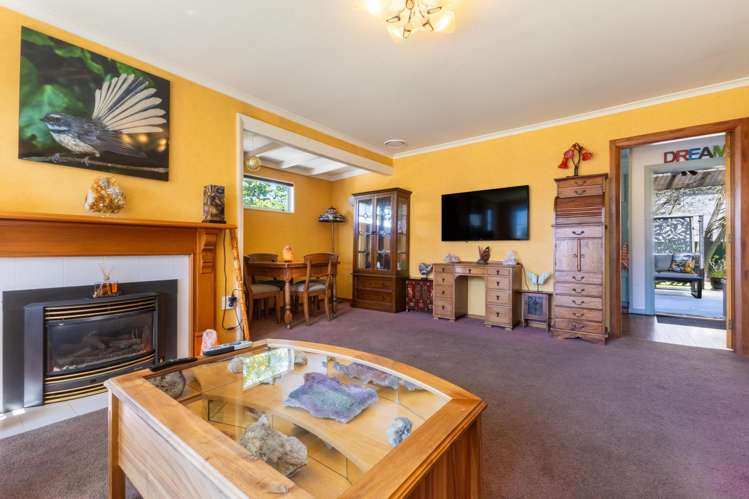 6 Puriri Terrace Roslyn_8