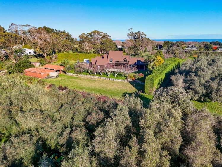 29 Westmere Road Westmere_31