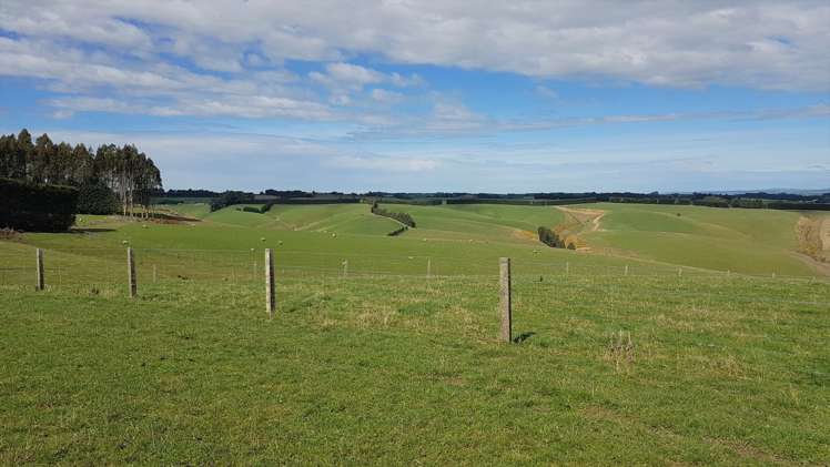 161 Roulston Road Balclutha_15