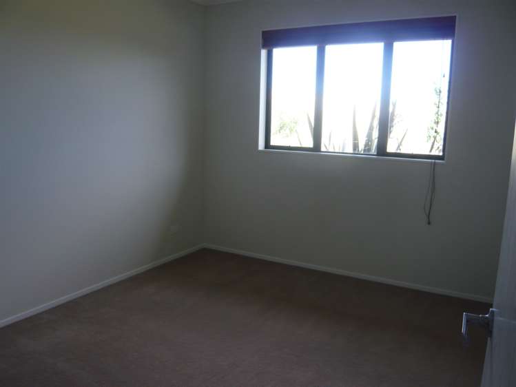 503 Mangatawhiri Road Mangatawhiri_19