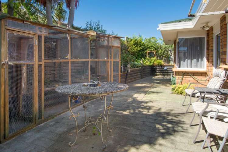 2 Verbena Glen Mount Maunganui_15