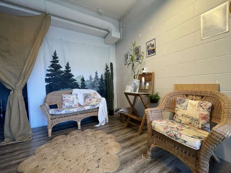 9/4 Williamson Ave Grey Lynn_3