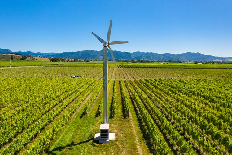 287 Brancott Road Fairhall_8