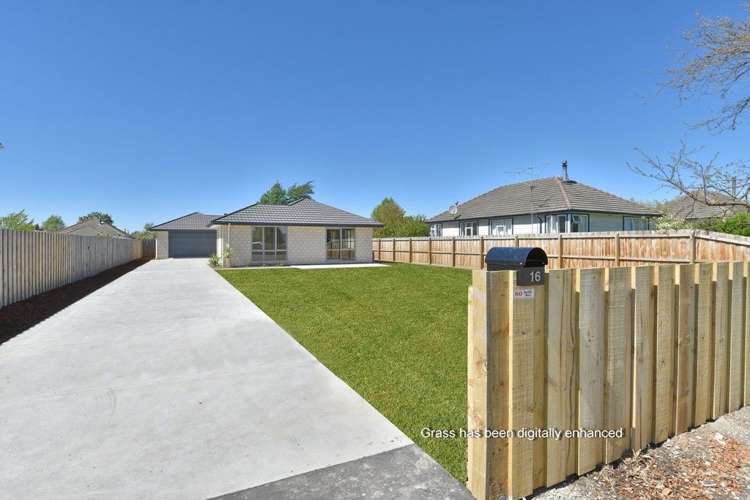 16 Andrew Street Allenton_0