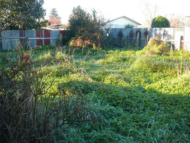 8 George Street Paeroa_1