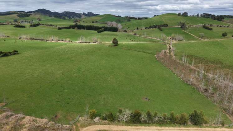 1698 State Highway 10 Totara North_16