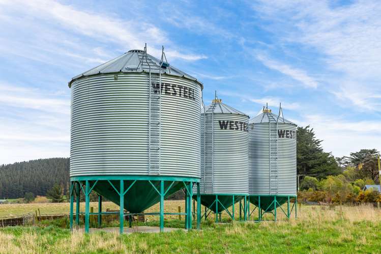 Wairiri Road Glentunnel_15