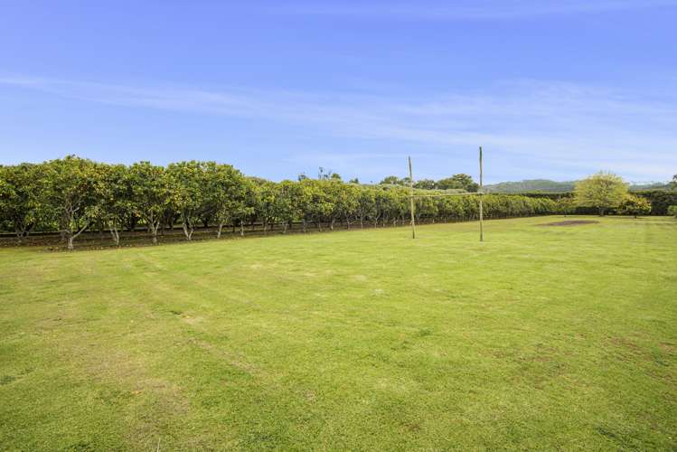 21 Richards Road Kauri_19