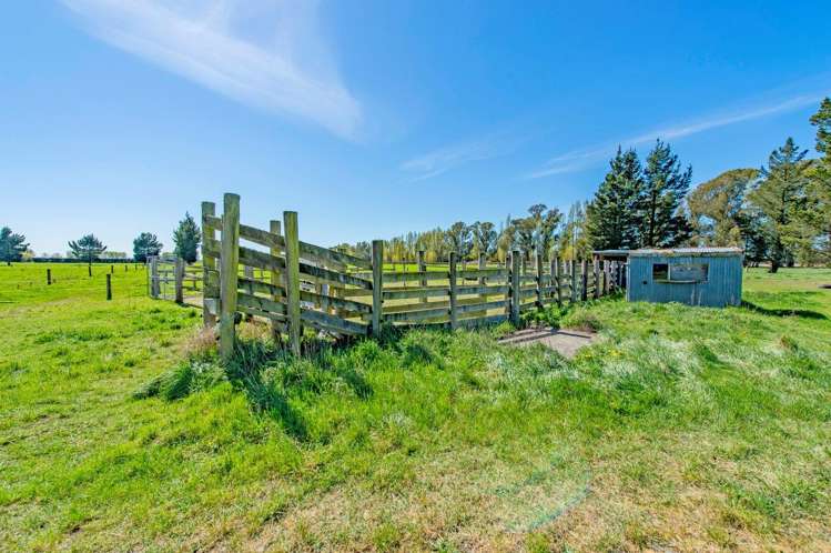 382 Selwyn Lake Road Leeston_7