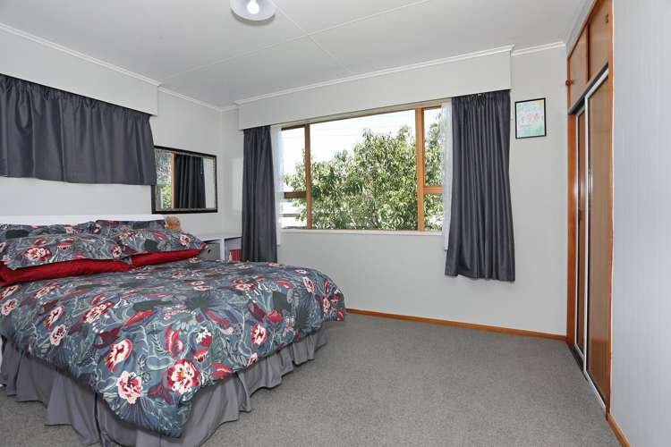 21 Flower Street Bulls_7