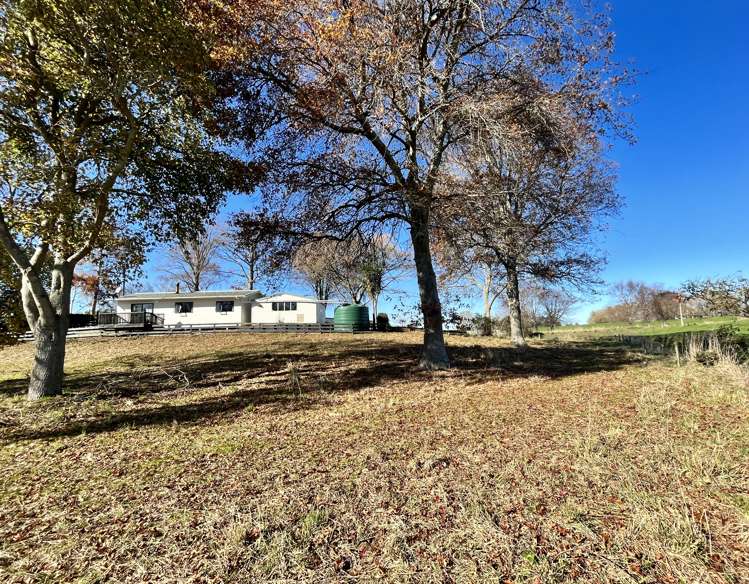 73b Singh Road Waitoa_2