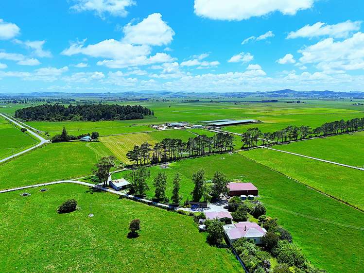 331 Simpson Road Ruawai_20