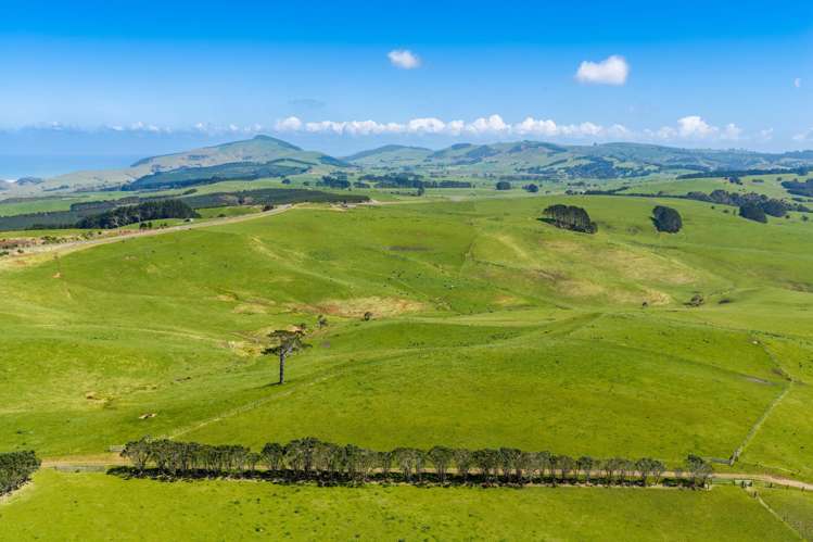 3902 State Highway 12 Dargaville_17