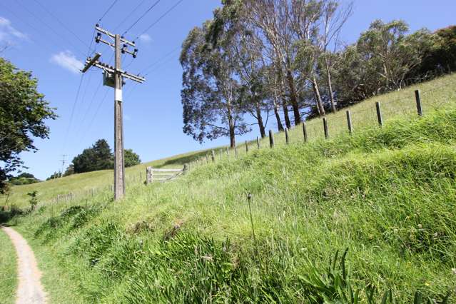 13c Nepia Road Marybank_3