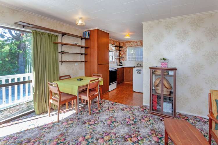 101 Hays Place Thames_18