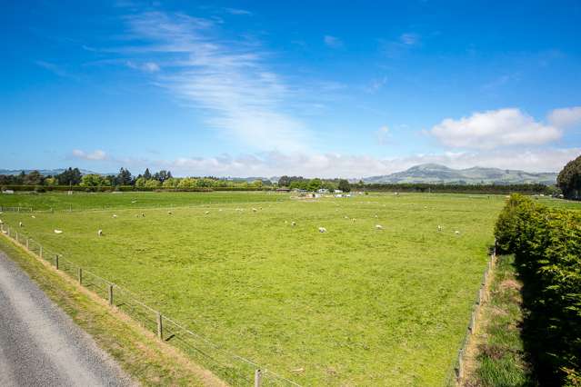 323 Riccarton Road West Mosgiel_3