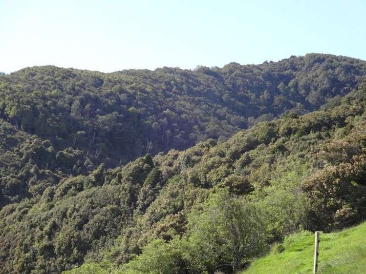 378 Putara Road Eketahuna_10