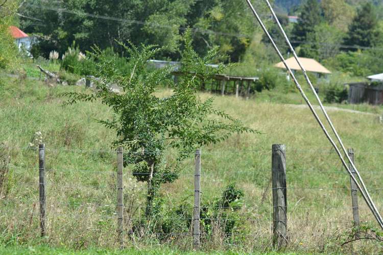 2 Ngarimu Street Ohura_1