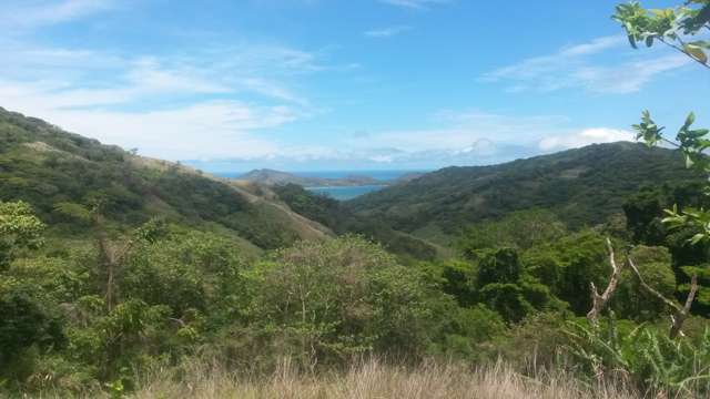 FUTURE INCOME with this 25 Acre Teak Farm in Rakiraki on Fiji's main island of Viti Levu