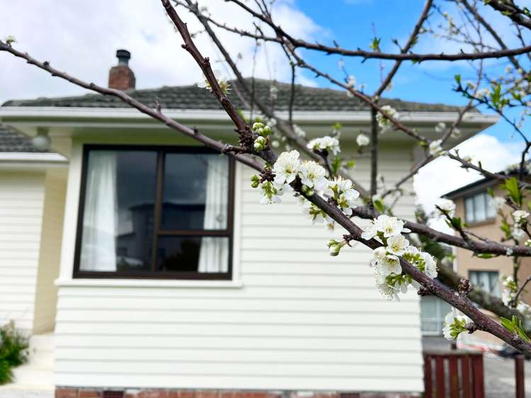 35 Hutchinsons Road Highland Park_23