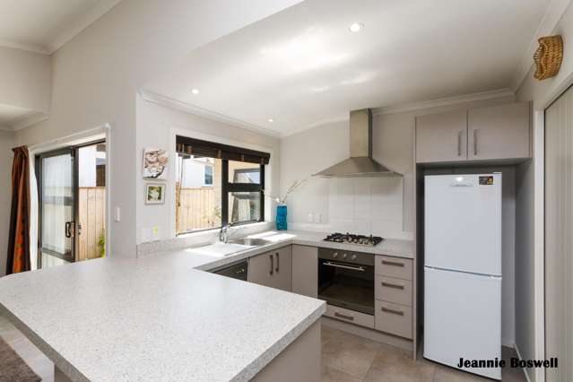 60a Rongopai Street Palmerston North Central_2