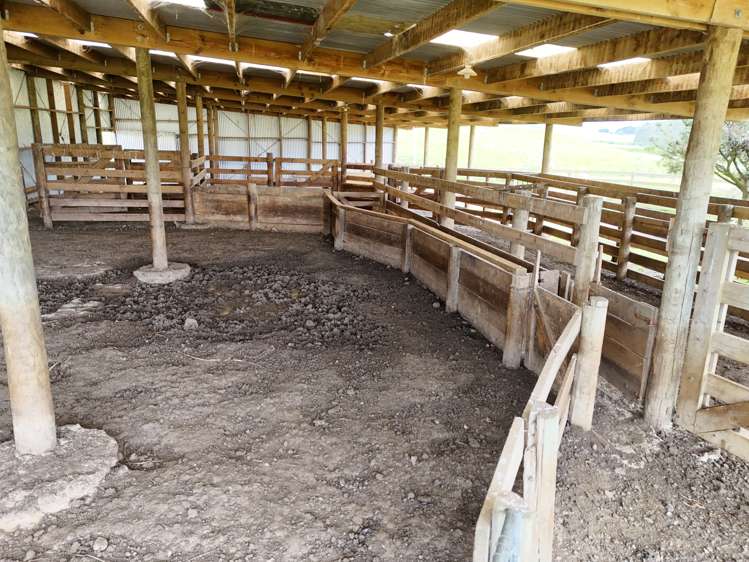 124 Niagara Waikawa Road Niagara_9