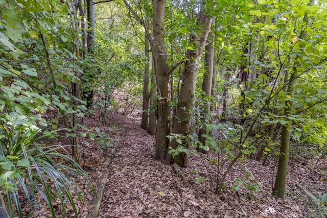 70 Tasman Road Otaki Beach_4