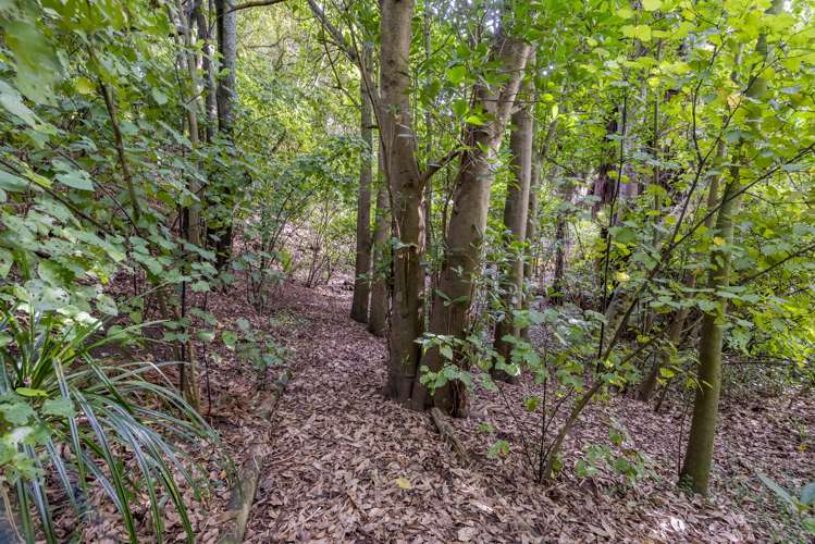 70 Tasman Road Otaki Beach_4