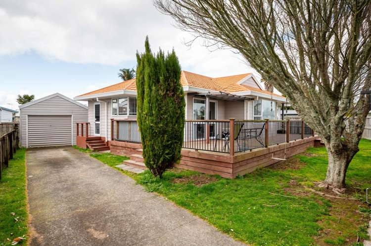 22 Metro Avenue Nawton_9