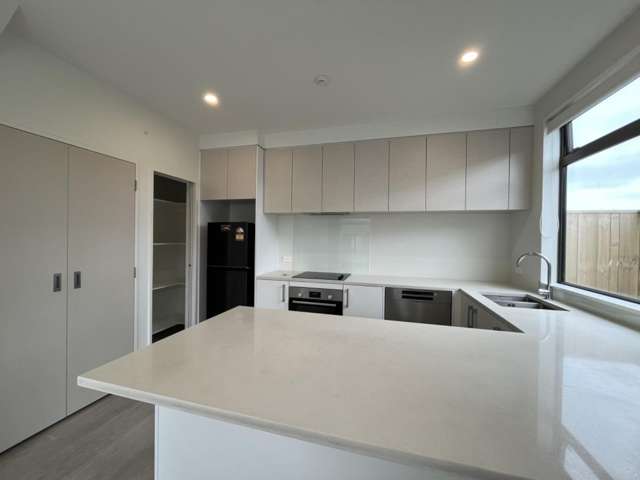 3/2 Moor Avenue 1801_4