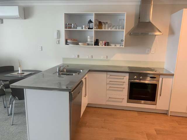 3/391 Victoria Street Callum Brae_2