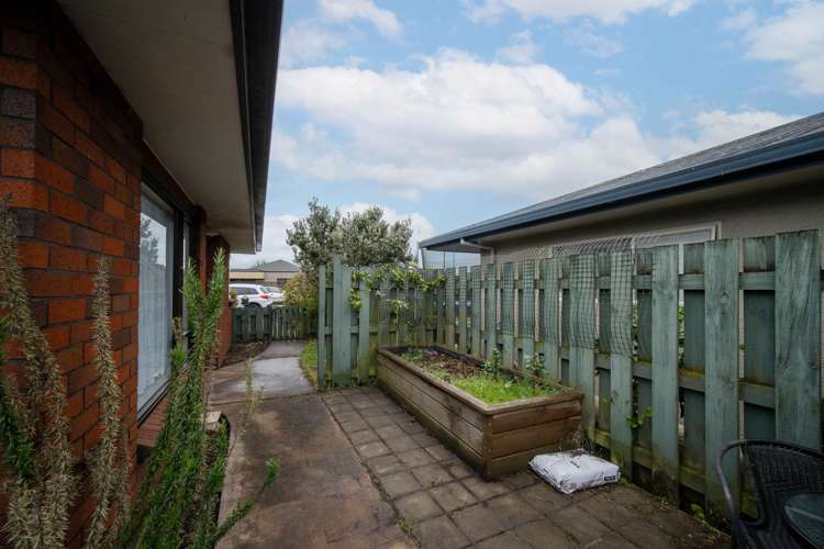 371 Nayland Road Stoke_18