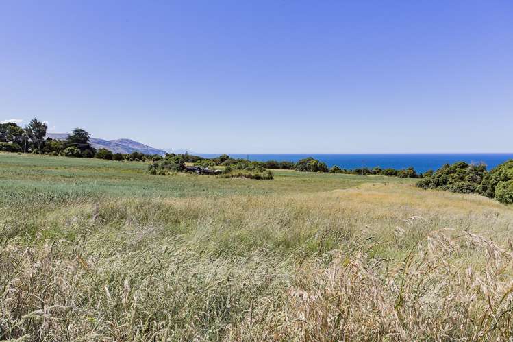 371 Cathedral Road Domett_15