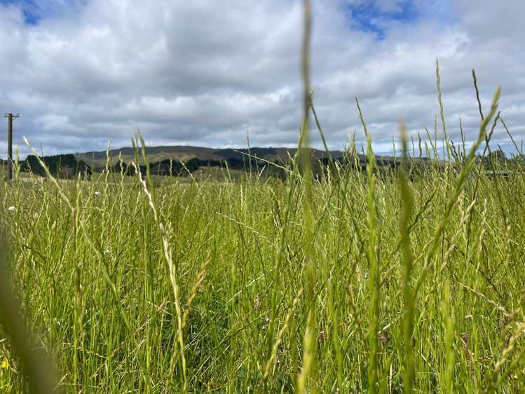 Lot 1, 2 & 4/3054 State Highway 23 Raglan_8