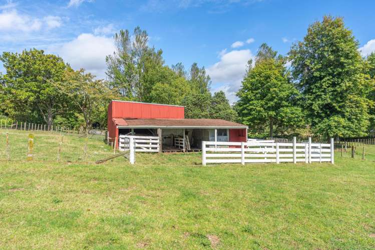 83 Honi Taipua Street Manakau_10