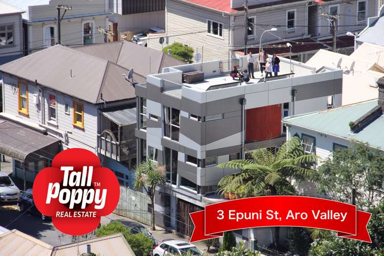 3 Honiana Te Puni Street Aro Valley_19