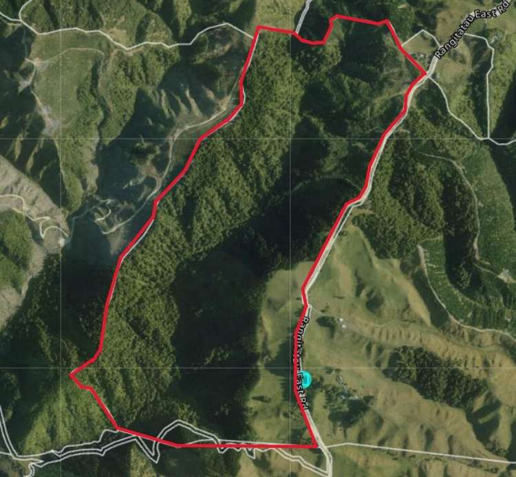 Lot 3 and 7/1005 Rangitatau East Road Kai Iwi_19