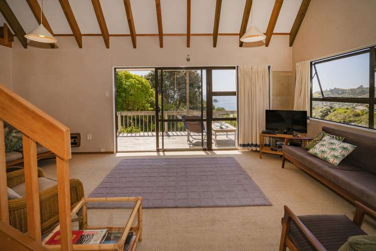 101 Grange Road Hahei_17