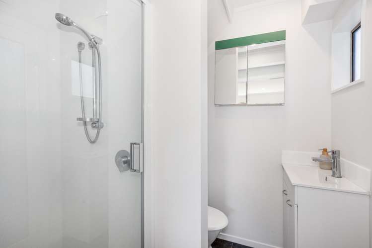 18 Virginia Grove Brooklyn_14