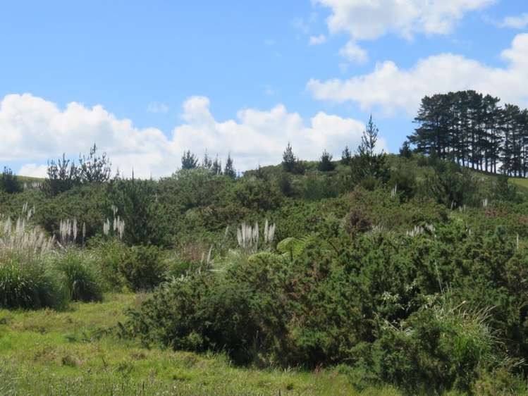 24 Pekama Drive Cable Bay_8