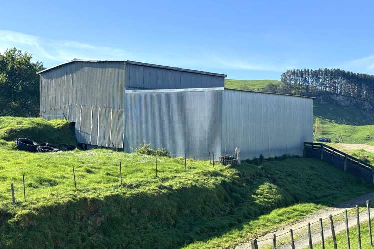 161 Veale Road Otorohanga_12