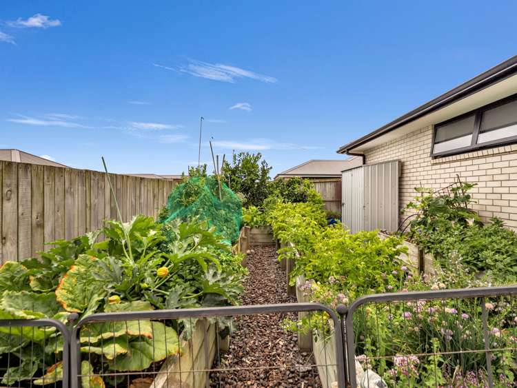 12 Costello Drive Ngatea_25