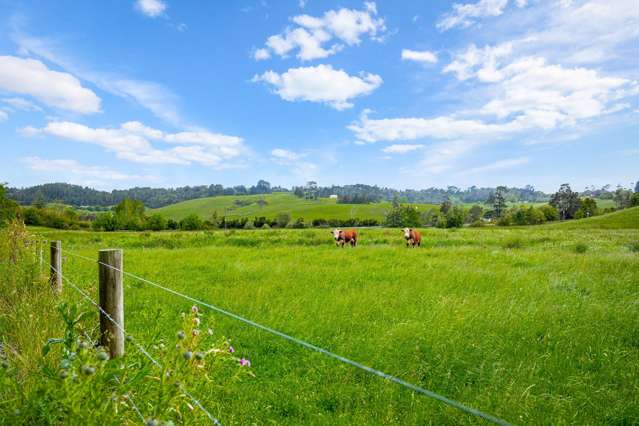 515 Kahikatea Flat Road Waitoki_3