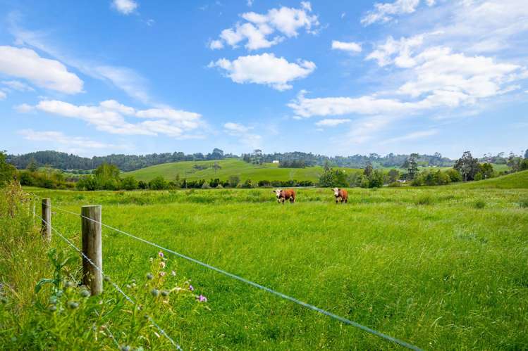 515 Kahikatea Flat Road_3