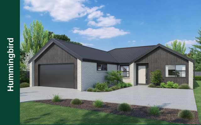 9 Coote Street Motupipi_2