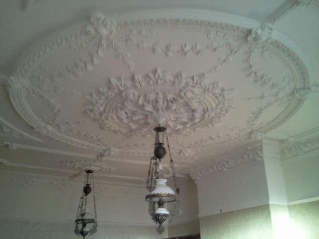 Niche Plaster Business Christchurch Central_2