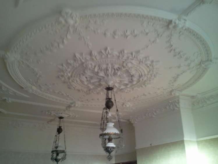 Niche Plaster Business Christchurch Central_2