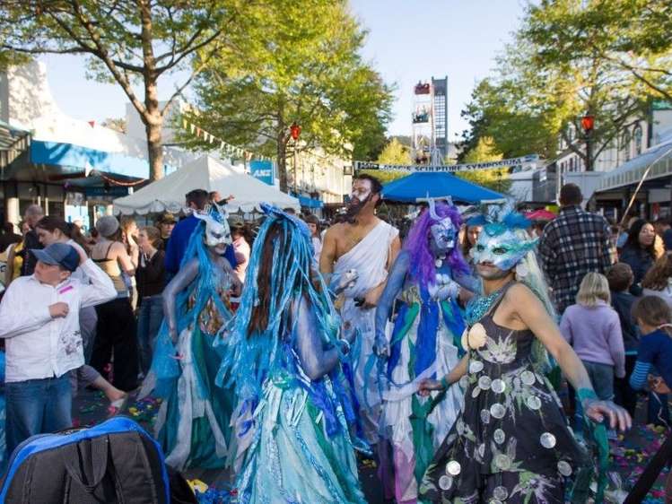 103/343 Trafalgar Square Nelson City_11